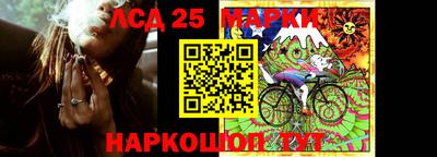 гидропоника Новозыбков