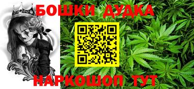 гидропоника Новозыбков