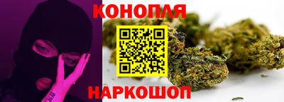 гидропоника Новозыбков