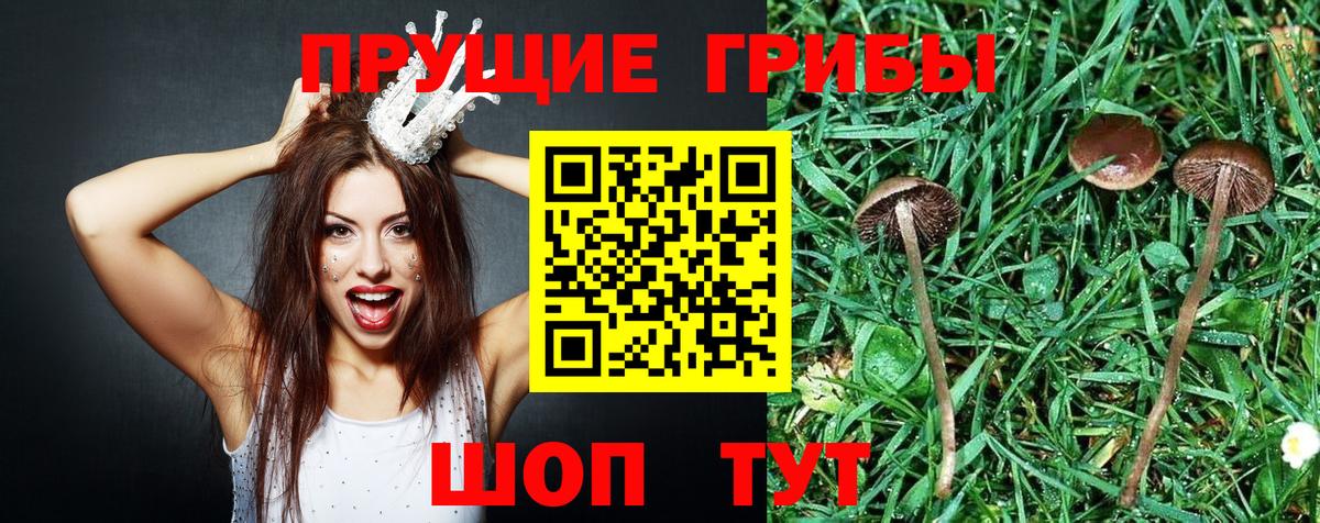 Галлюциногенные грибы Cubensis Советский