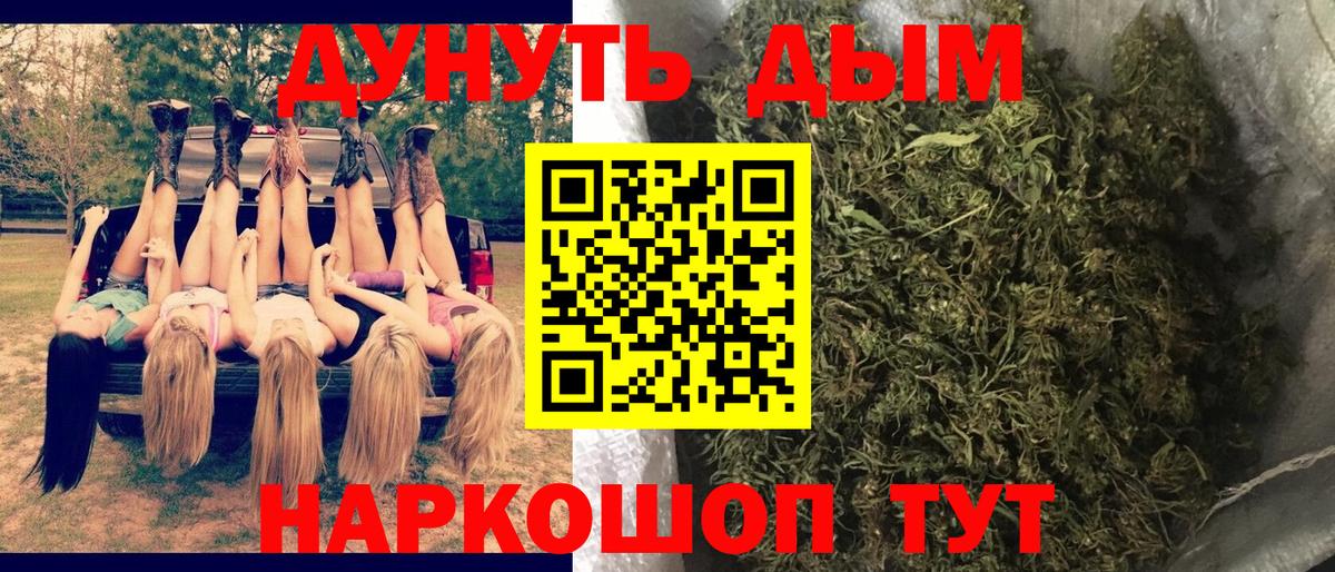 Конопля гибрид Советский